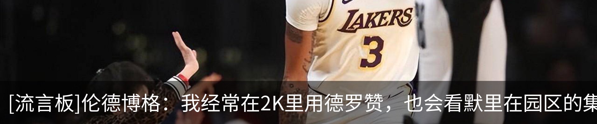 新闻动态